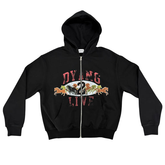 Zip up Hoodie